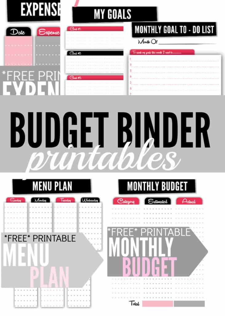 Budget Binder Printable from Single Mom Income